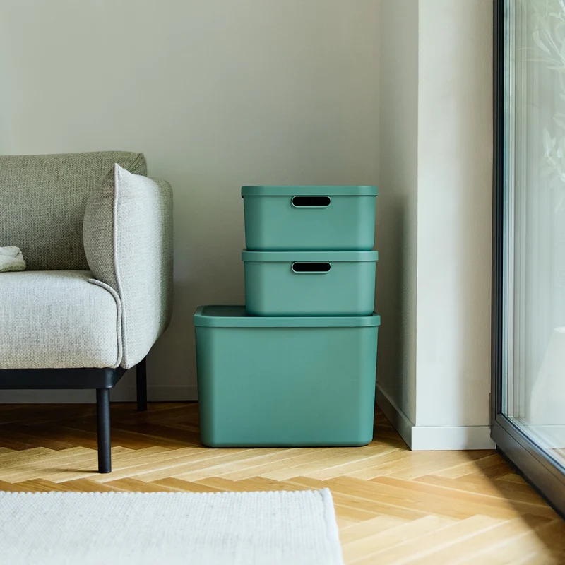Box 20 l 4er Set ALBULA LIGHT