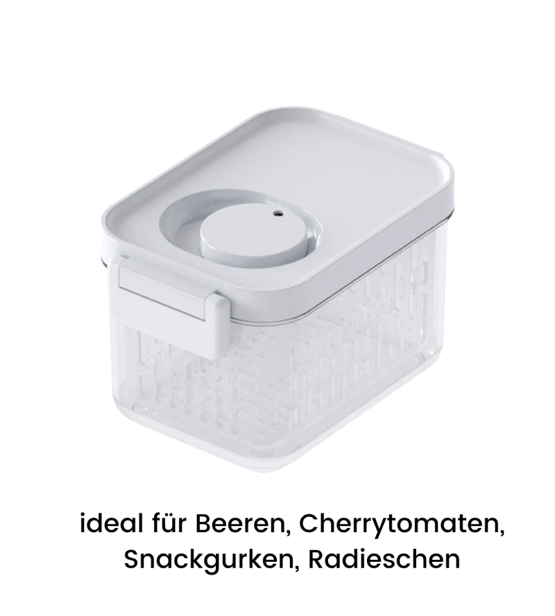 DATEMATE Frischhaltebox mit Haltbarkeits-Timer - 17.6x11.5x10.7 cm (0.9 L)