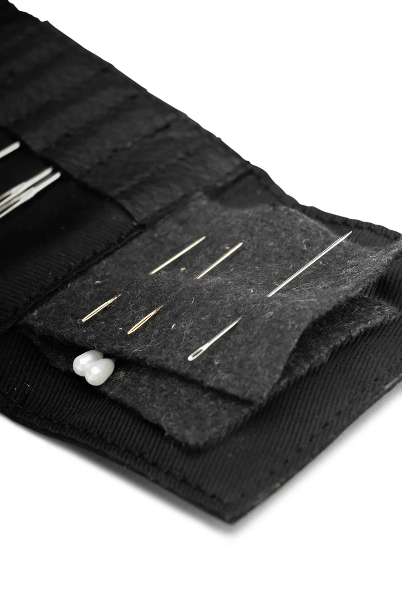 Carla Needle Case