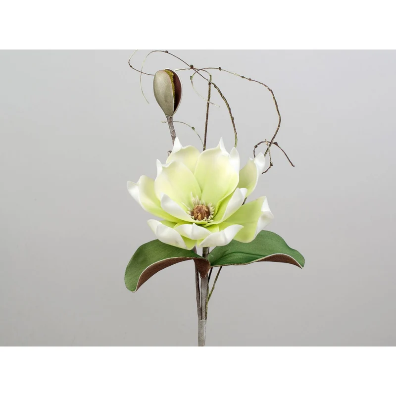 Magnolienzweig