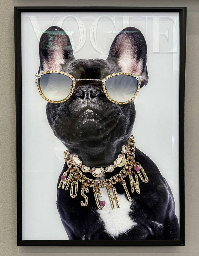 Wandbild französische Bulldogge 40x60cm Vogue Diamant Schwarz Kunstdruck Leinwand