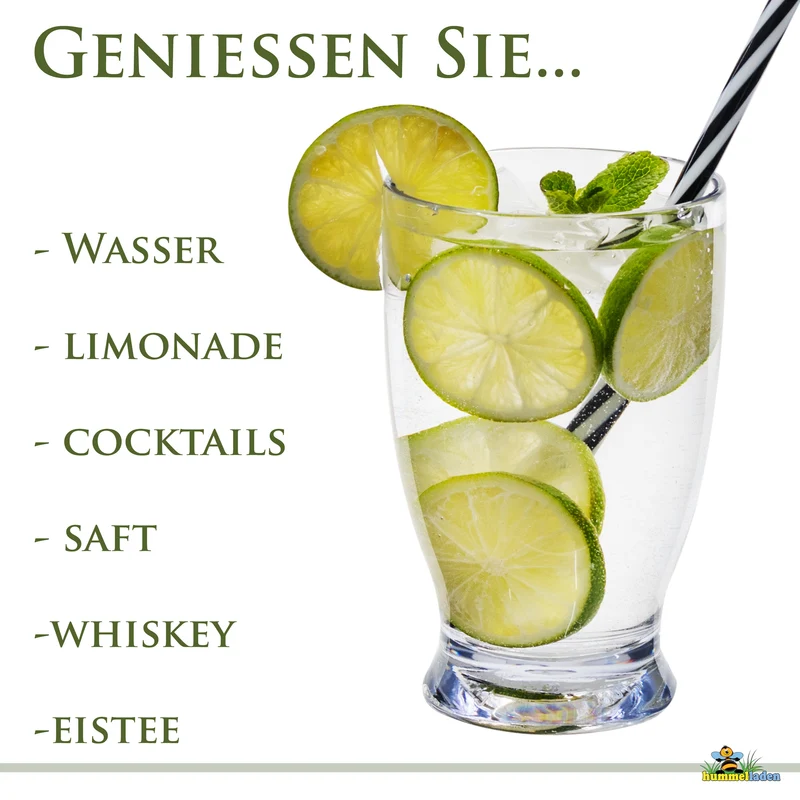 Melamin Geschirr Set Jesolo Blau für 2 Personen - 8 Teile - mit klarem Trinkglas 380ml - aus Acryl Steingutoptik Campinggeschirr