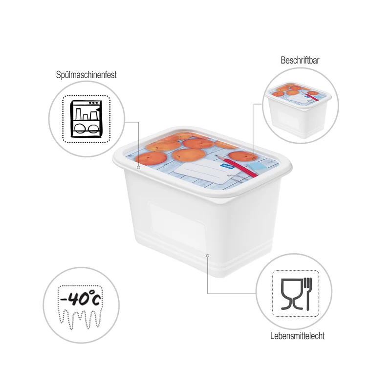 4er Set Gefrierdose 1 l DOMINO