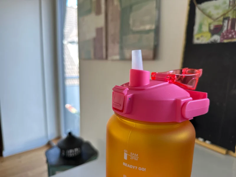 XXL Wasserflasche 2000ml Pink Sportflasche Trinkflasche Klappdeckel auslaufsicher