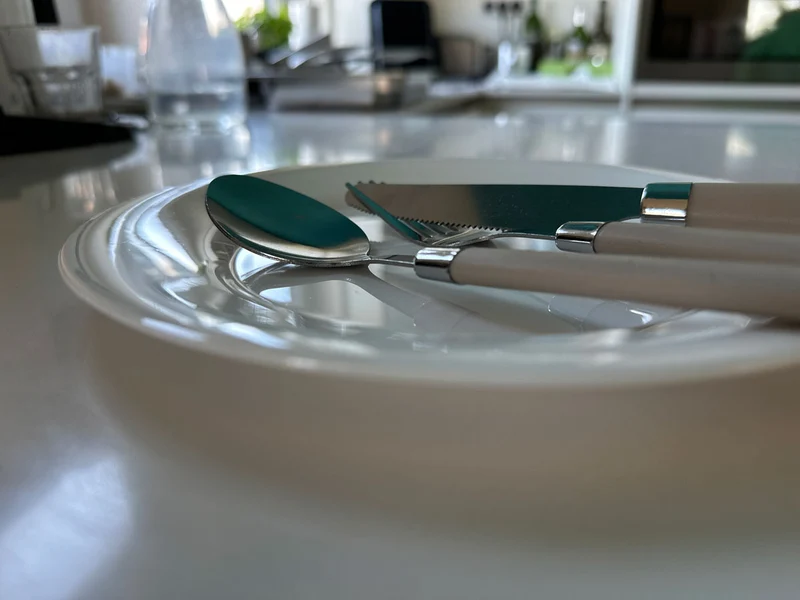 10-teiliges Picknick-Set Tragetasche Geschirr Besteck Mehrweggeschirr 2 Personen