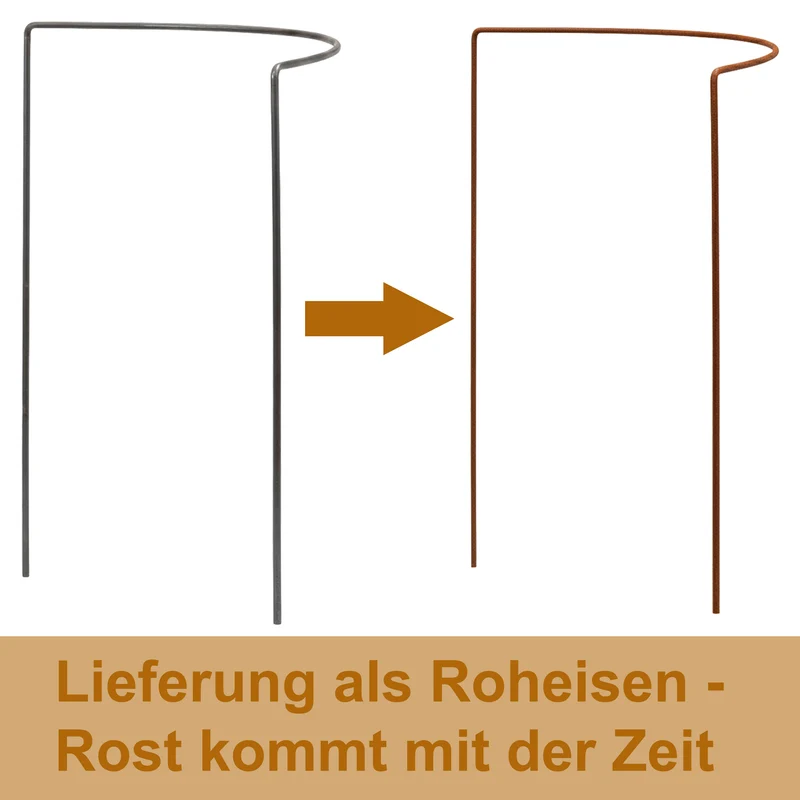 Pflanzenstütze Staudenstütze halbrund Edelrost - Ø 38 cm - 70 cm hoch aus 5mm unbehandeltem Stahldraht - Rost Roheisen Für den Garten - Metall - Buschstütze - Staudenstütze Pflanzbogen Staudenhalter Rankhilfe Pflanzenring