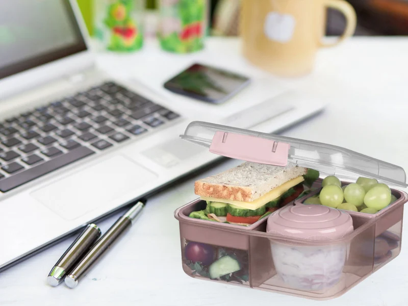 Bento Box Lunchbox Kunststoff Rosa 3 Fächer 2 Ebenen Frühstücksbox Brotdose