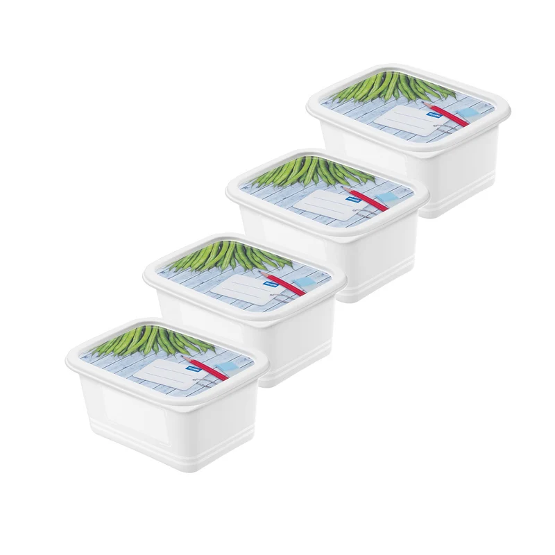 4er Set Gefrierdosen 0,75 l DOMINO