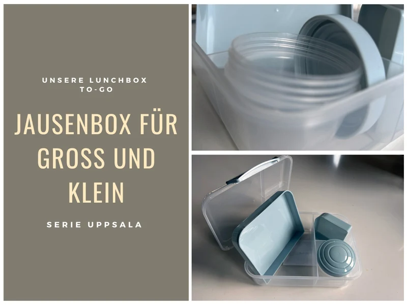 Bento Box Lunchbox Kunststoff Blau 3 Fächer 2 Ebenen Frühstücksbox Brotdose