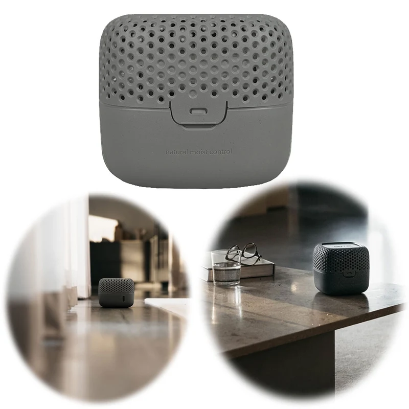 Absodry Duo Family Series 3 Grau für Räume bis 30m² Luftentfeuchter ohne Strom