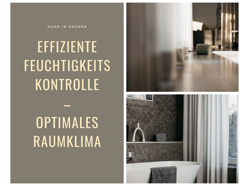 Absodry Duo Family Series 3 Grau für Räume bis 30m² Luftentfeuchter ohne Strom