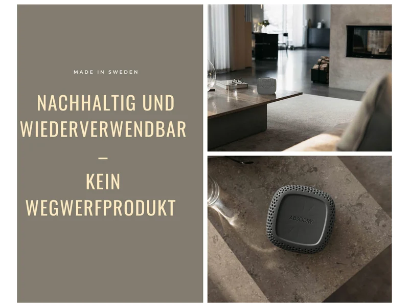 Absodry Duo Family Series 3 Grau für Räume bis 30m² Luftentfeuchter ohne Strom