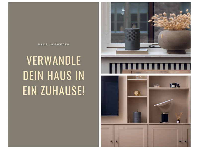 Absodry Duo Family Series 6 Grau für Räume bis 50m² Luftentfeuchter ohne Strom