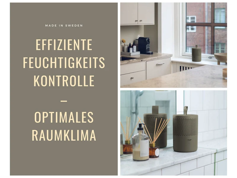 Absodry Duo Family Series 6 Grün für Räume bis 50m² Luftentfeuchter ohne Strom