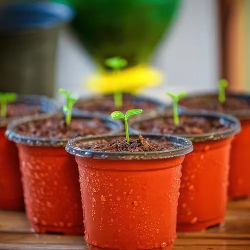 PEYOU Anzuchttöpfe,[100 Stück,10cm] Umweltfreundliche Pflanztöpfe, Wiederverwendbar, Plastik Blumentopf für Garten und Pflanzenanzucht, Ideal für Setzlinge und Sämlinge