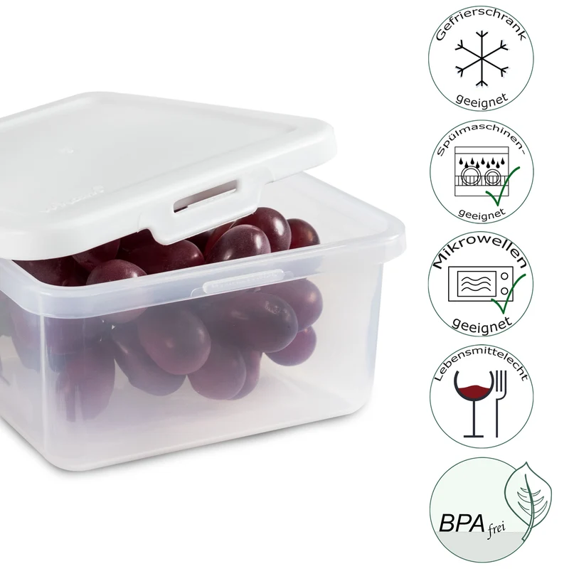 Kleine Vorratsdosen Set 600ml - 12x12x6 cm - quadratisch - Lebensmittelbox Gefrierdose Frischhaltedose Mikrowellengeeignet Spülmaschinengeeignet - transparent mit weißem Deckel