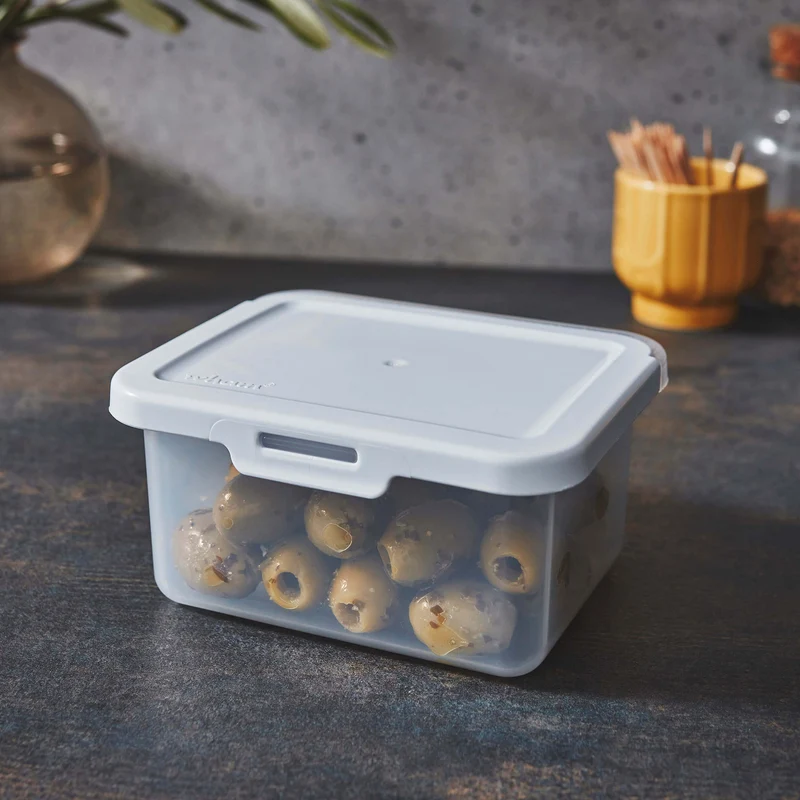 Kleine Vorratsdosen Set 500ml - 12x10x6 cm - Lebensmittelbox Gefrierdose Frischhaltedose Mikrowellengeeignet Spülmaschinengeeignet - transparent mit weißem Deckel