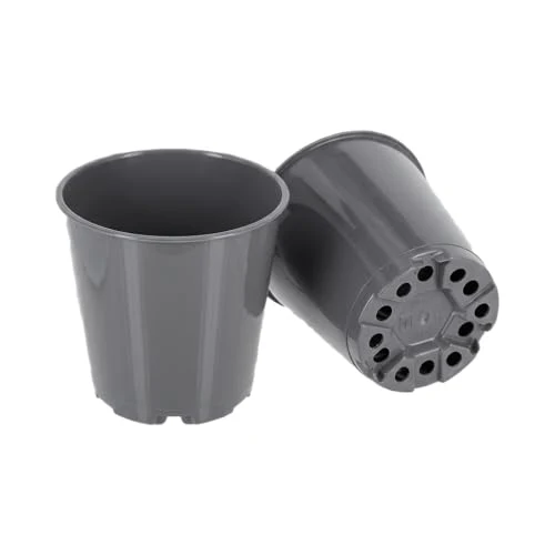 GREEN24 20 Runde Hohe Mini Pflanztöpfe Ø 6 cm Anzuchttöpfe Pflanztöpfe Blumentöpfe Saattöpfe runde glänzende Töpfe (20 Stück)