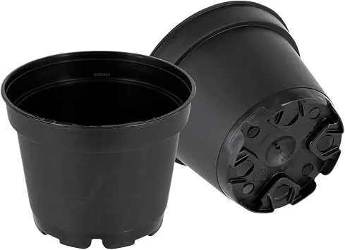 GREEN24 50 Runde Mini Pflanztöpfe Ø 6 cm Anzuchttöpfe Pflanztöpfe Blumentöpfe Saattöpfe runde Töpfe (50 Stück)