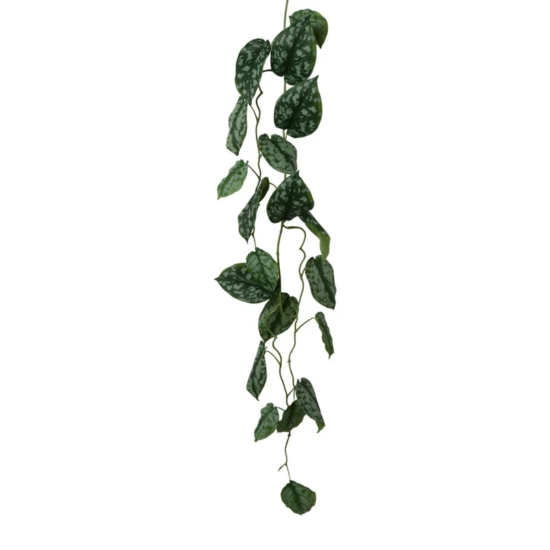 Scindapsusgirlande