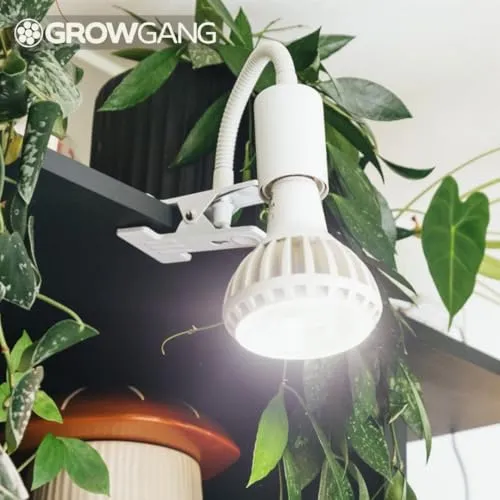 Pianta Pflanzenlampe Clip-On Fassung – 360° Schwanenhals, stabiler Clip für Pflanzenbeleuchtung. Mit Regalhalterung, Tischstecker, LED Clip-On. Perfekt für Schreibtische, Regale & Zimmerpflanzen.
