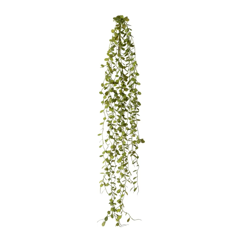 Mühlenbeckia-Hänger