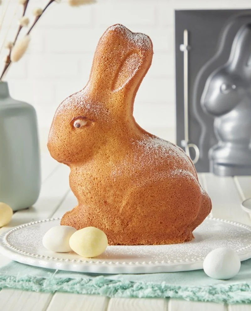 3D Backform Hase