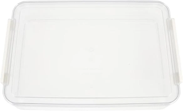 Aufbewahrungsbox für Dokumente mit Griff Transparente, PET, Groß