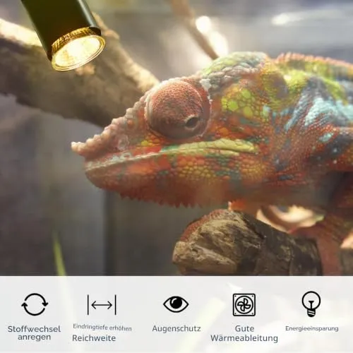 Vaileal 2 Stück Klemmleuchte: LED-Lampenfassung E27, E27 Lampenfassung mit Clip, Klemmlampe 360° Einstellbar Flexiblem Schwanenhals für Lesen Innen Beleuchtung, Bett Nachtlesen (Schwarz)