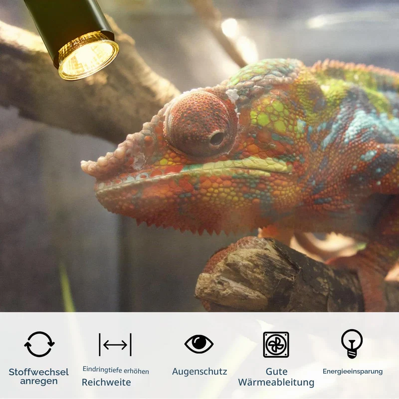 Vaileal 2 Stück Klemmleuchte: LED-Lampenfassung E27, E27 Lampenfassung mit Clip, Klemmlampe 360° Einstellbar Flexiblem Schwanenhals für Lesen Innen Beleuchtung, Bett Nachtlesen (Schwarz)