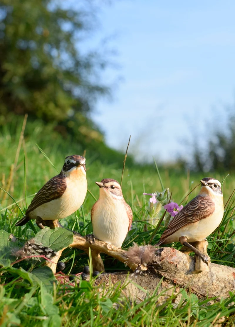 Goebel Jahresvogel Figur 'Vogel des Jahres 2023 Braunkelchenpaar' groß