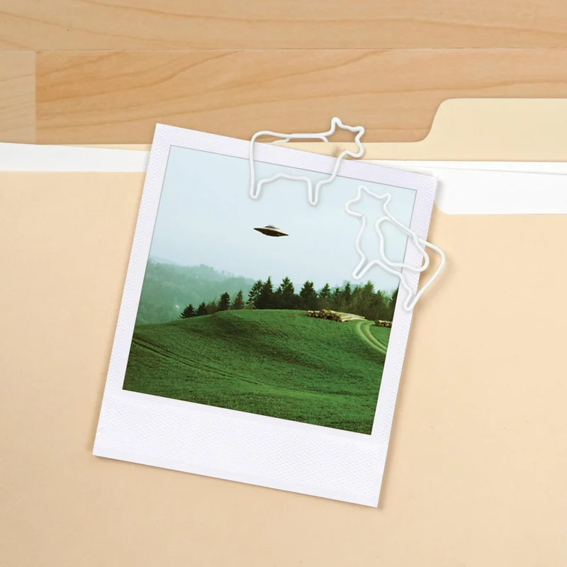 Fred and Friends 5266419 Ablagekorb, Kuh-Clips und Halter, sortiert