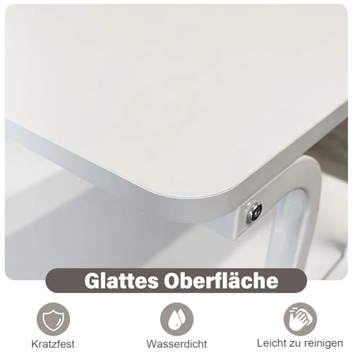 PUNCIA Druckertisch mit 2 Ebenen Druckerständer auf Rollen 60 x 50 cm