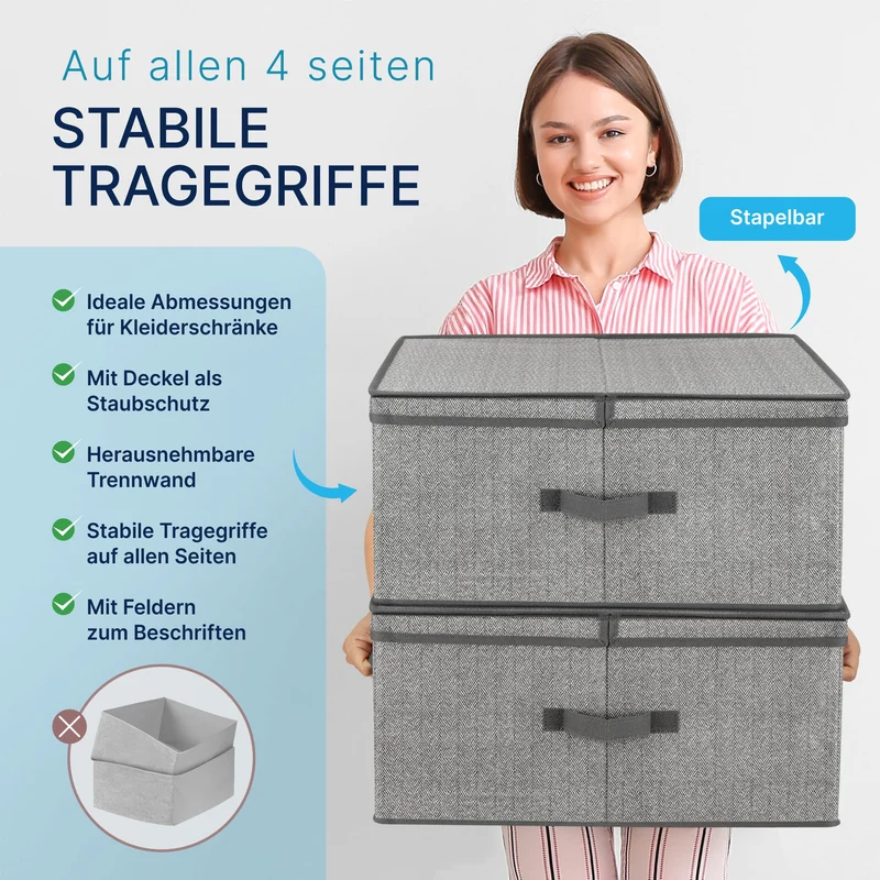 TOPP4u 2er Set große Aufbewahrungs-Box 50L mit Deckel, 2 Fächer 40x50x25cm