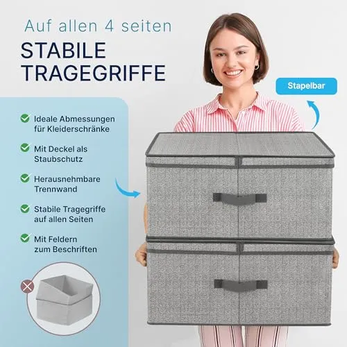 TOPP4u 2er Set große Aufbewahrungs-Box 50L mit Deckel, 2 Fächer 40x50x25cm