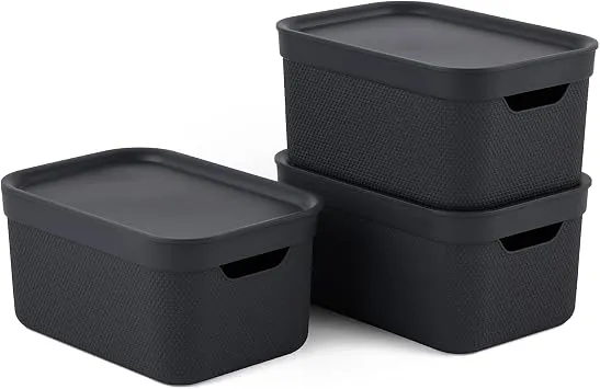 Rotho Jive Aufbewahrungsbox mit Deckel 3 x 5 L stapelbar aus PP dunkelgrau