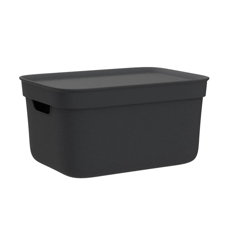 Rotho Jive Aufbewahrungsbox mit Deckel 3 x 5 L stapelbar aus PP dunkelgrau