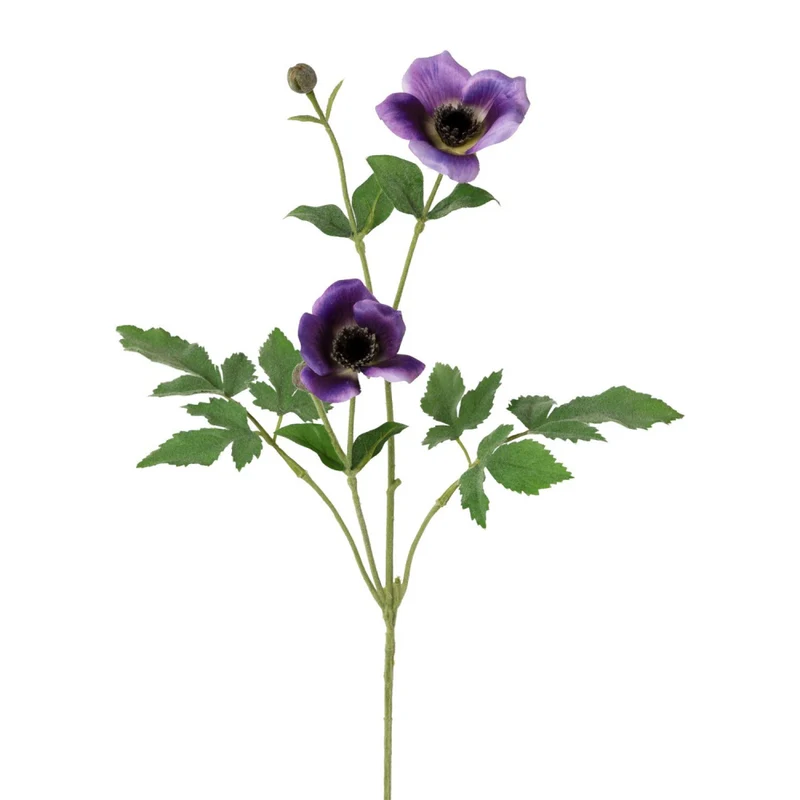 Anemonenzweig