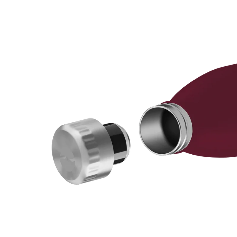FLSK To-Go - Bottle 750ml winterberry