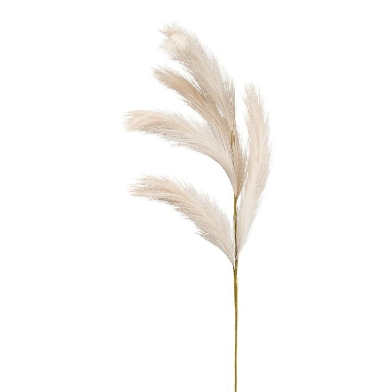 Reedgras