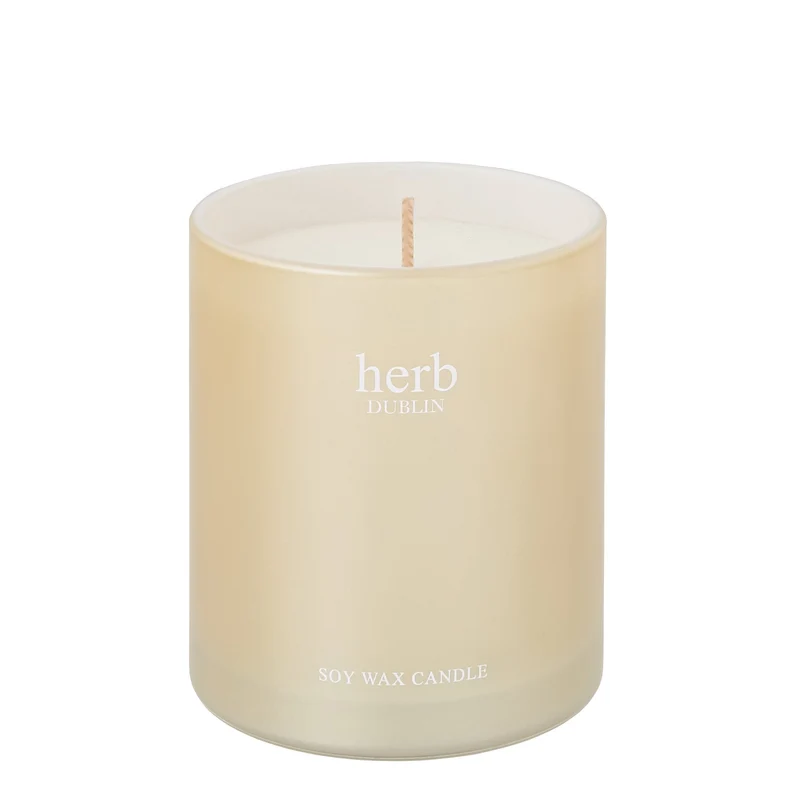 Holly Jolly Christmas Kerze, herb DUBLIN