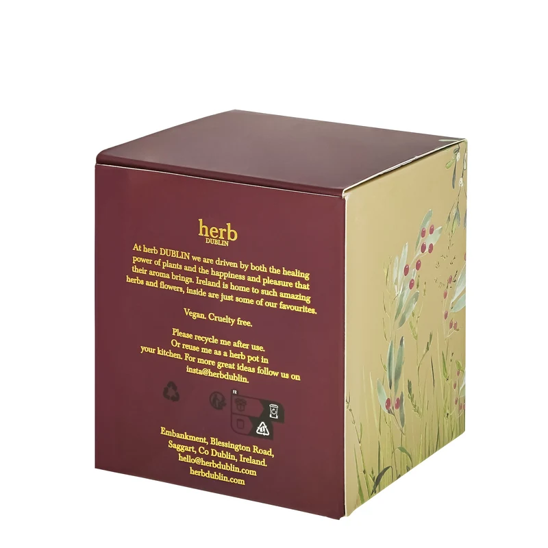 Trost und Freude Kerze, herb DUBLIN