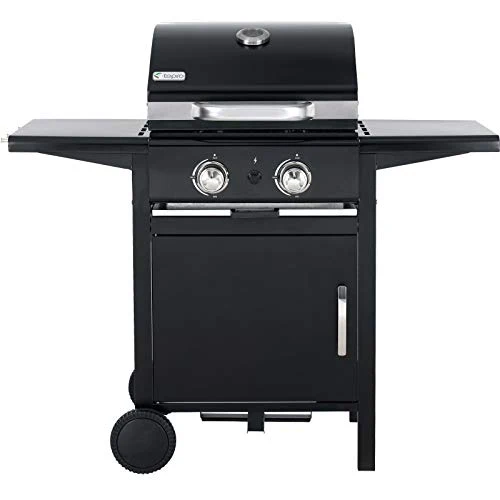 tepro Gasgrill Mayfield 2 mit 2 hochwertigen, leistungsstarken Edelstahlbrennern, verchromten Grillrosten (Rost-in-Rost-System), großer Warmhaltefläche, integriertem Thermometer im Deckel und praktisc