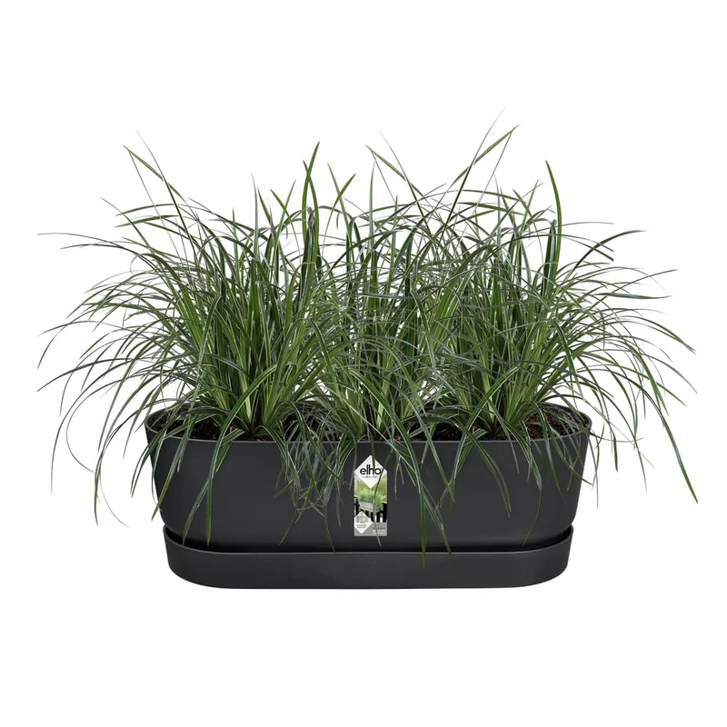 elho Greenville Easy Balcony 52 Blumentopf Balkon - Übertopf für Balkon - 100% recyceltes Plastik - Ø 52.0 x H 19.4 cm - Living Schwarz