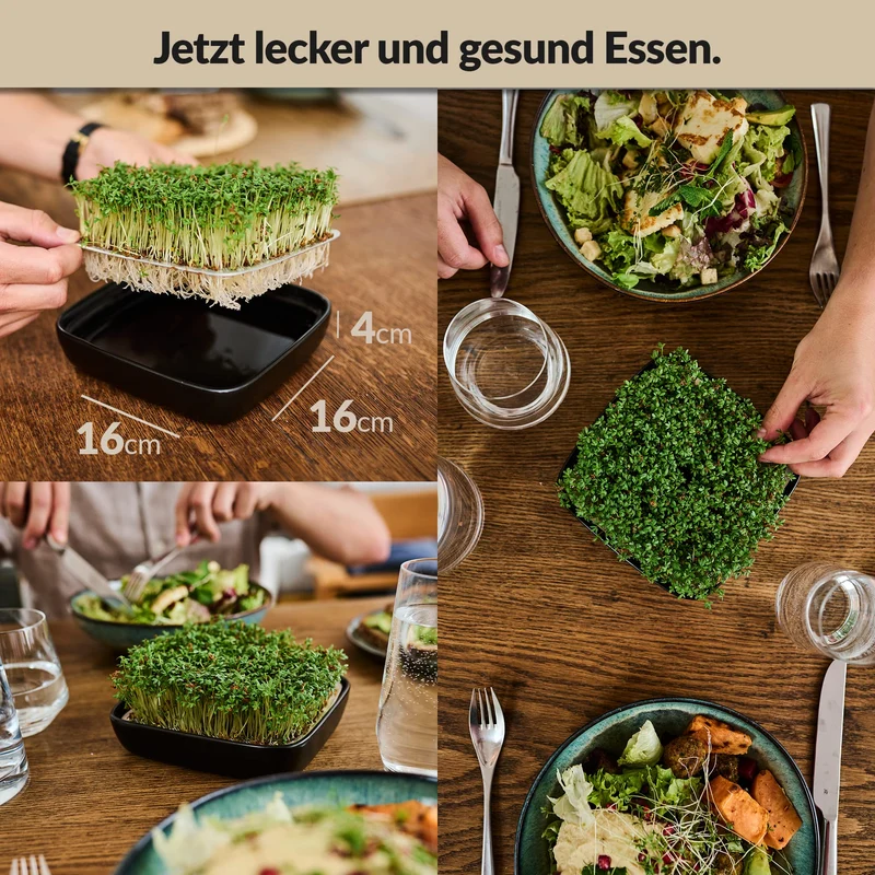 Otaro Kresse Anzuchtschalen inkl. Kressesamen aus Deutschland | Direkt Loslegen | Sprossen Anzuchtset | Edles Kressesieb | Keimschalen für Sprossen | (Schwarz - Premium Keramikset)