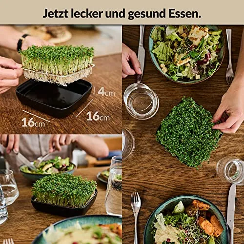 Otaro Kresse Anzuchtschalen inkl. Kressesamen aus Deutschland | Direkt Loslegen | Sprossen Anzuchtset | Edles Kressesieb | Keimschalen für Sprossen | (Schwarz - Premium Keramikset)