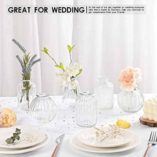 Vasen Klein Glas EylKoi - 6 Teile/Satz Klar Verschiedene Formen, Vasen Hochzeit, Tischdeko Mini Kleine Für Zuhause, Veranstaltungen Tisch, 1# + 2#