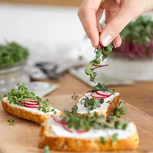 Microgreens Samen Set von OwnGrown - 8 Sorten BIO Sprossen und Mikrogrün Saatgut im Microgreens Starter Set - Alfalfa, Rucola, Kresse für Kresse Anzuchtschalen uvm - Sprossen Samen