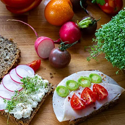 Microgreens Samen Set von OwnGrown - 8 Sorten BIO Sprossen und Mikrogrün Saatgut im Microgreens Starter Set - Alfalfa, Rucola, Kresse für Kresse Anzuchtschalen uvm - Sprossen Samen