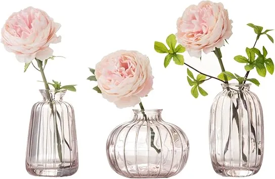 3er-Set Kleine Vasen für Tischdeko Dekorativ Glasvasen Blumenvase Set Bud Vase Kaffee